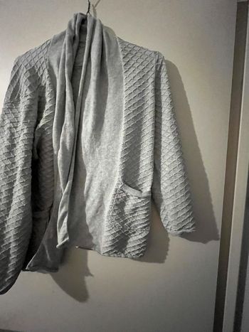 Gilet gris
