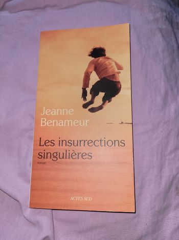 Lis insurrections singulières Jeanne Benameur