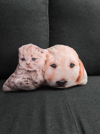 Coussin animaux