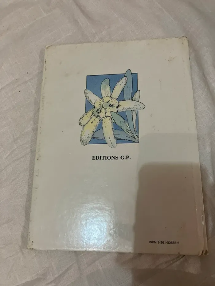 Livre enfant – Heidi et l’edelweiss - photo numéro 5