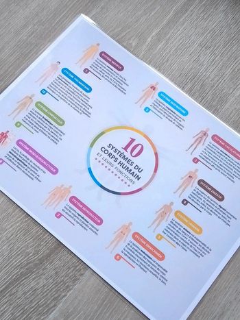 Fiche A4 des 10 système du corps humain et leurs fonctions