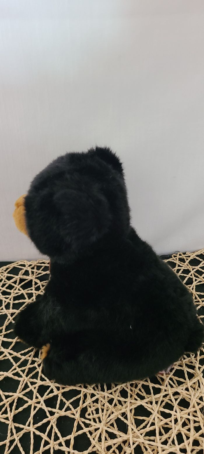 Peluche Sam ours noir 22 cm, PIA International Soft Toys - photo numéro 2