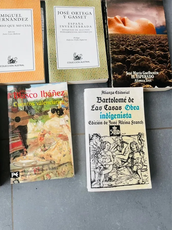 Livres littératures classique et moderne espagnole - photo numéro 5