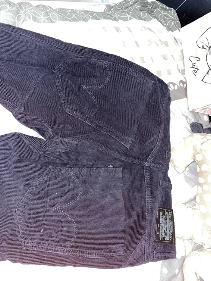 Pantalon velours garçon Lévis - photo numéro 3