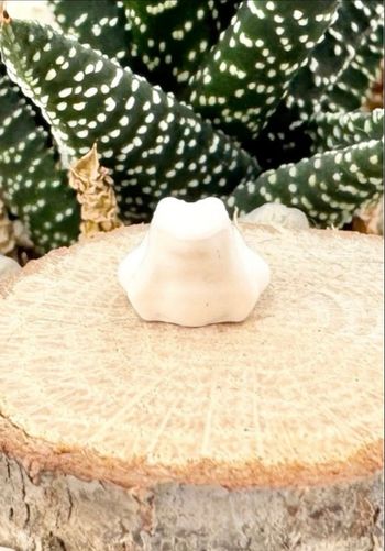 Lego Animaux City : Grenouille, couleur Blanche - NEUF