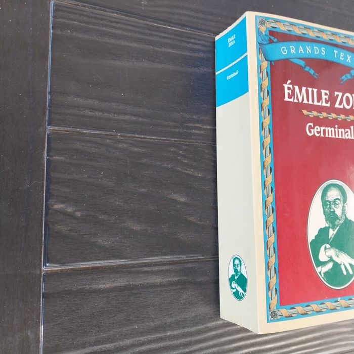 Germinal d'Émile Zola 5 euros - photo numéro 8