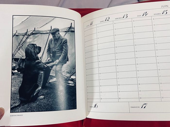 Agenda 1990 Les petits frères - photo numéro 6