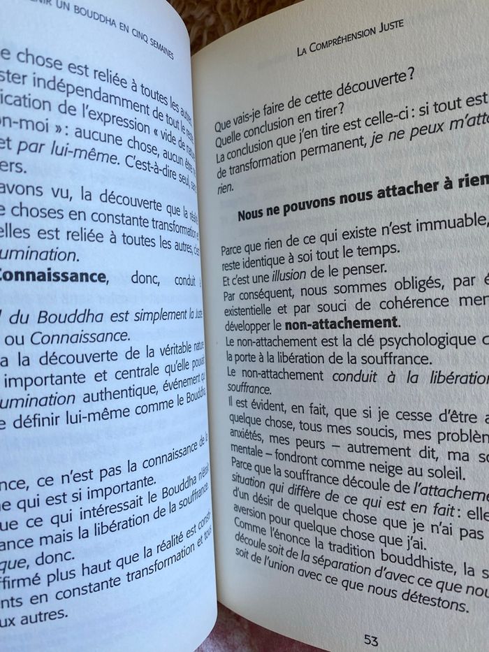 Comment devenir un Bouddha en cinq semaines - photo numéro 2