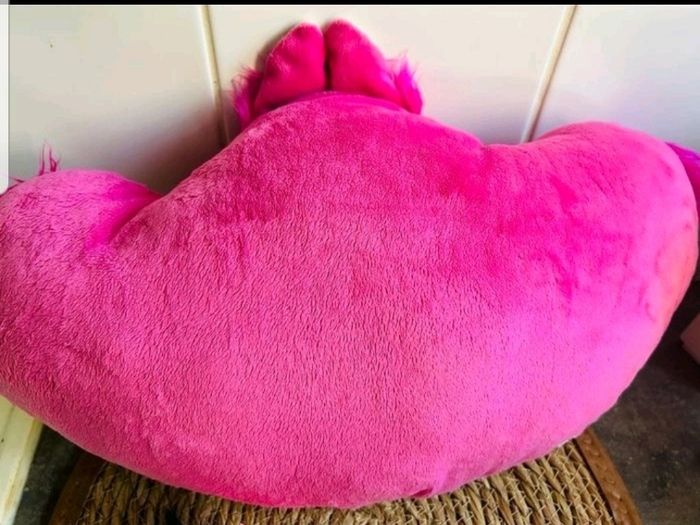 Oreiller disney - photo numéro 3