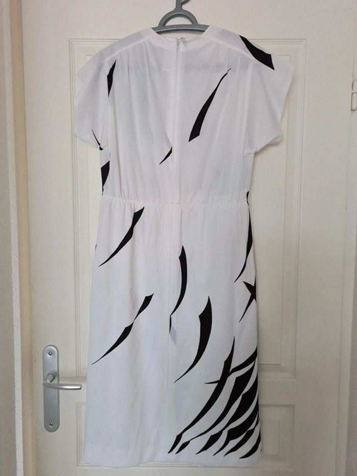 Robe zébrée parisienne Vintage - photo numéro 4