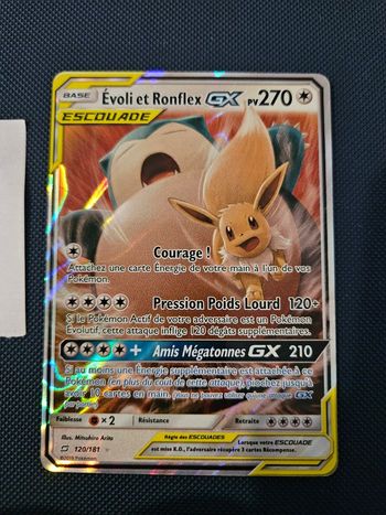 Evoli et ronflex gx 120/181