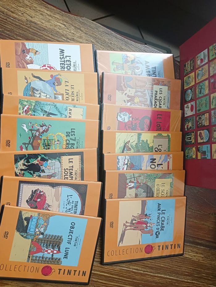 Collection DVD TINTIN - photo numéro 6