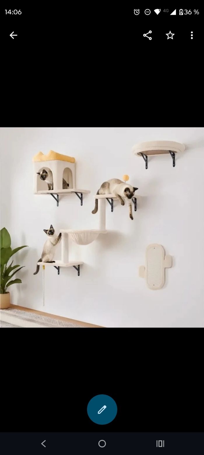 Arbre à chat mural, mur d'escalade beige 🐱 - photo numéro 3