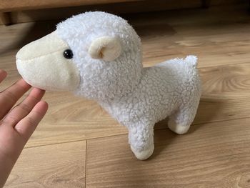 Peluche mouton