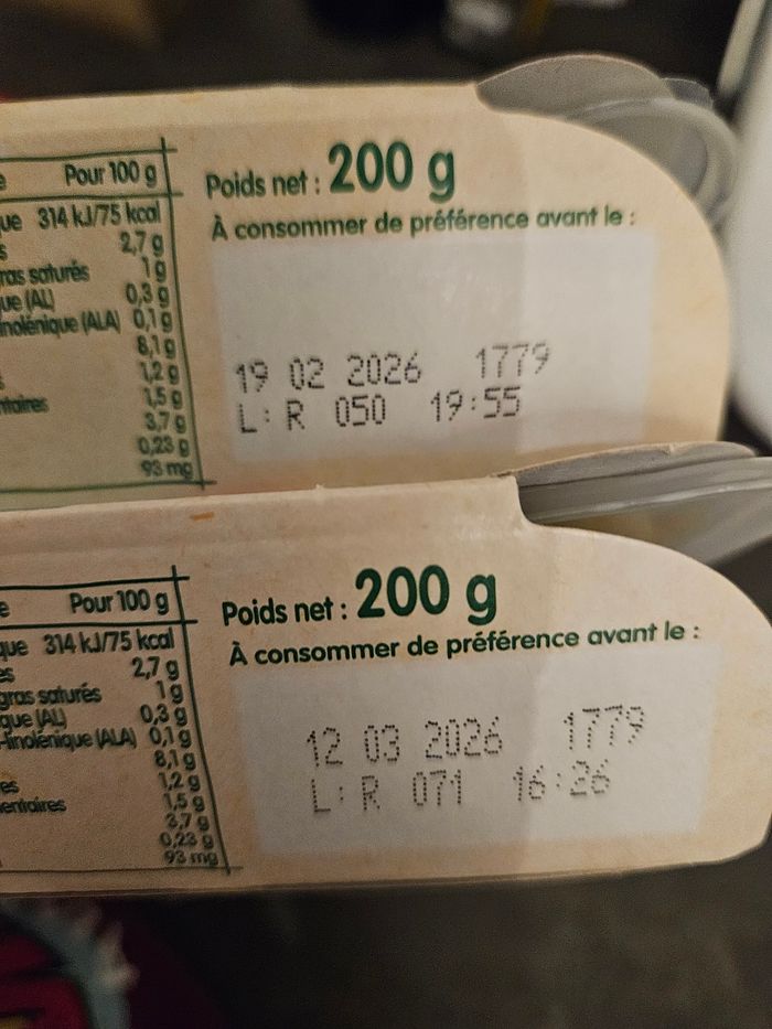 Plat Bledina - photo numéro 6