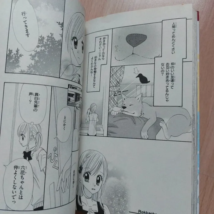 Manga Rokka tyan no Koi - photo numéro 2