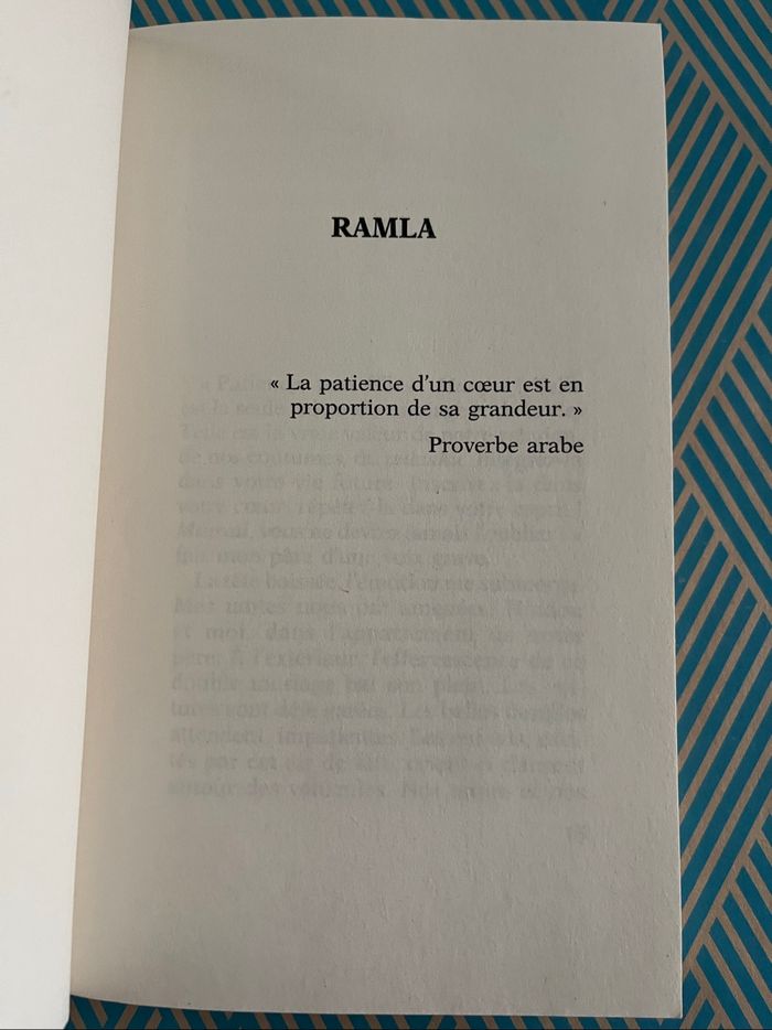 Les impatientes de Djaili Amadou Amal - photo numéro 7