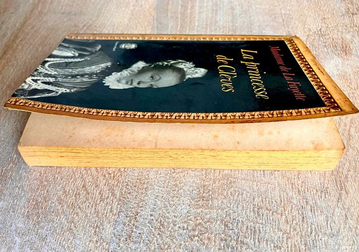 Livre de poche La Princesse de Clèves Madame de la Fayette - photo numéro 6