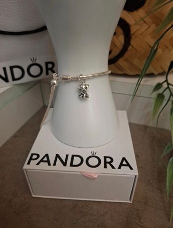 Charm chien Labrador 