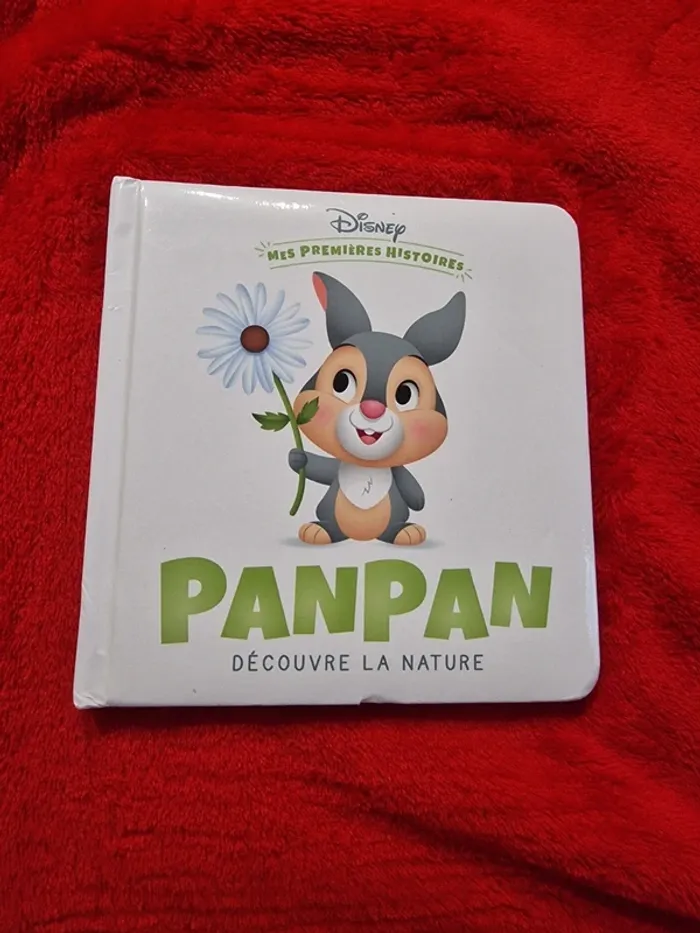 Livre mes premières histoires Disney panpan découvre la nature