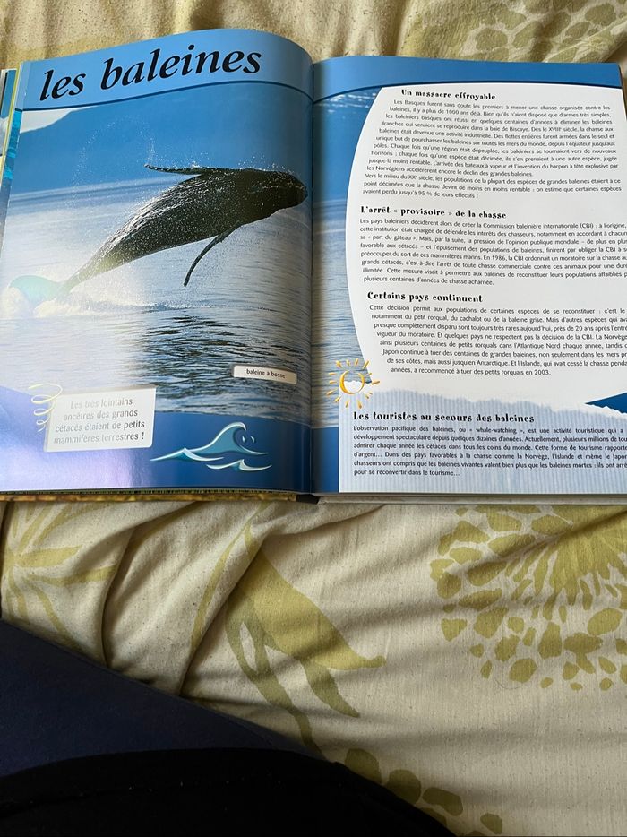 Livre. Animaux à protéger neuf - photo numéro 3