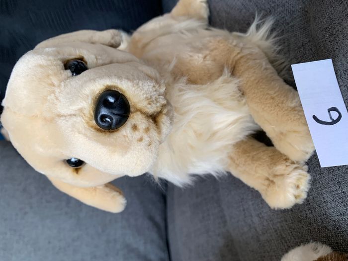 Peluche - photo numéro 2