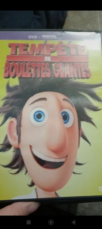 Tempête de boulettes géantes