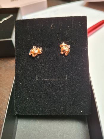 Jolie boucle d oreille