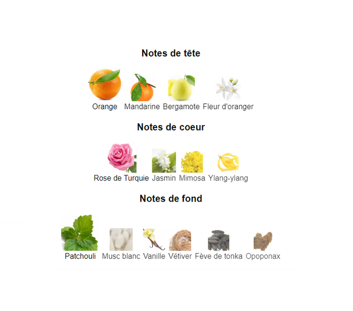 Le' Chel madame "inspi CC Coco Mademoiselle " eau de parfum femme 100 ml - photo numéro 4