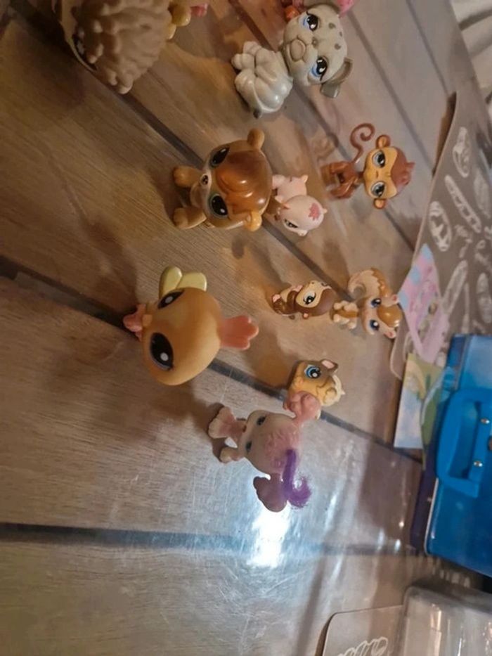 Lot petshop - photo numéro 5