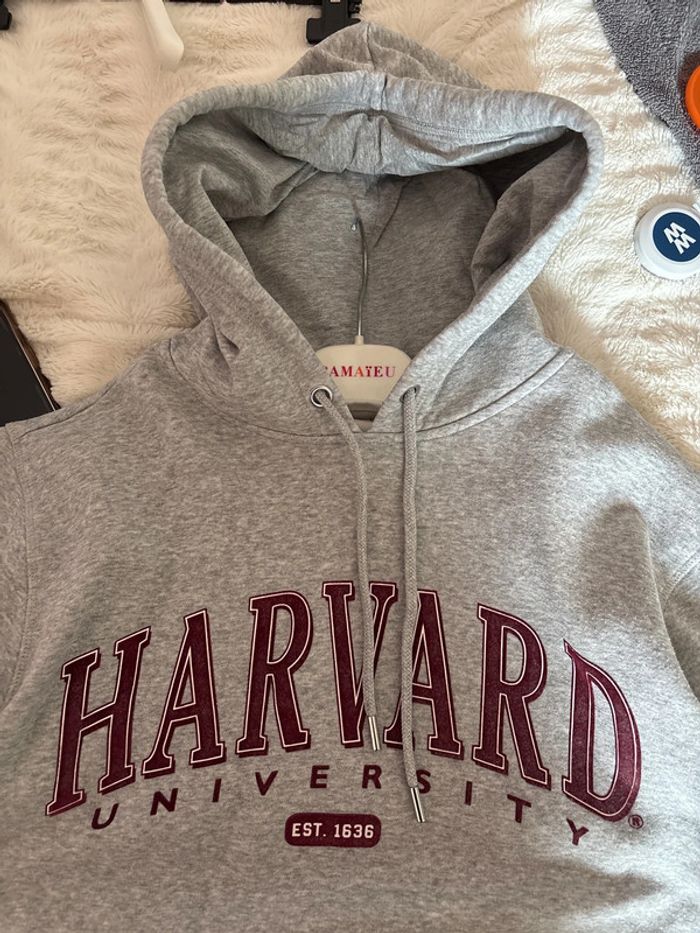 Sweat à capuche - photo numéro 5