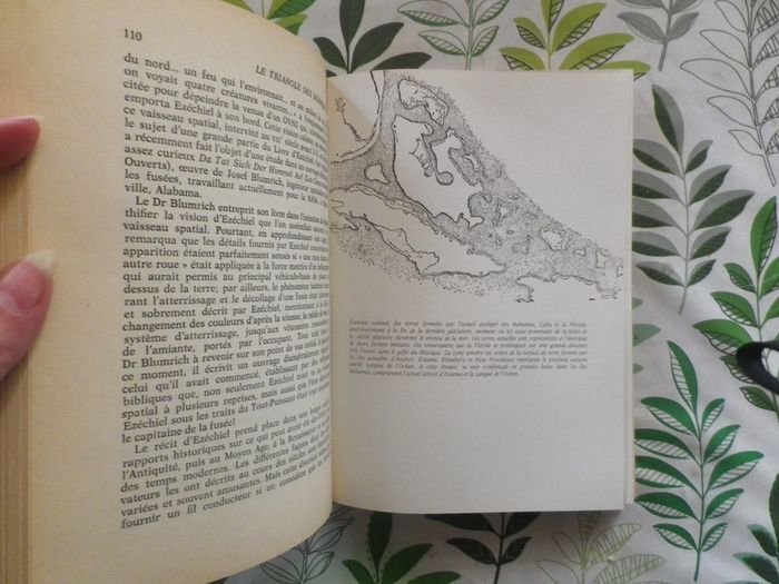 Le Triangle des Bermudes par Charles Berlitz Ed. Flammarion - photo numéro 5