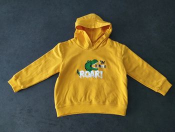 Pull à capuche dinosaure