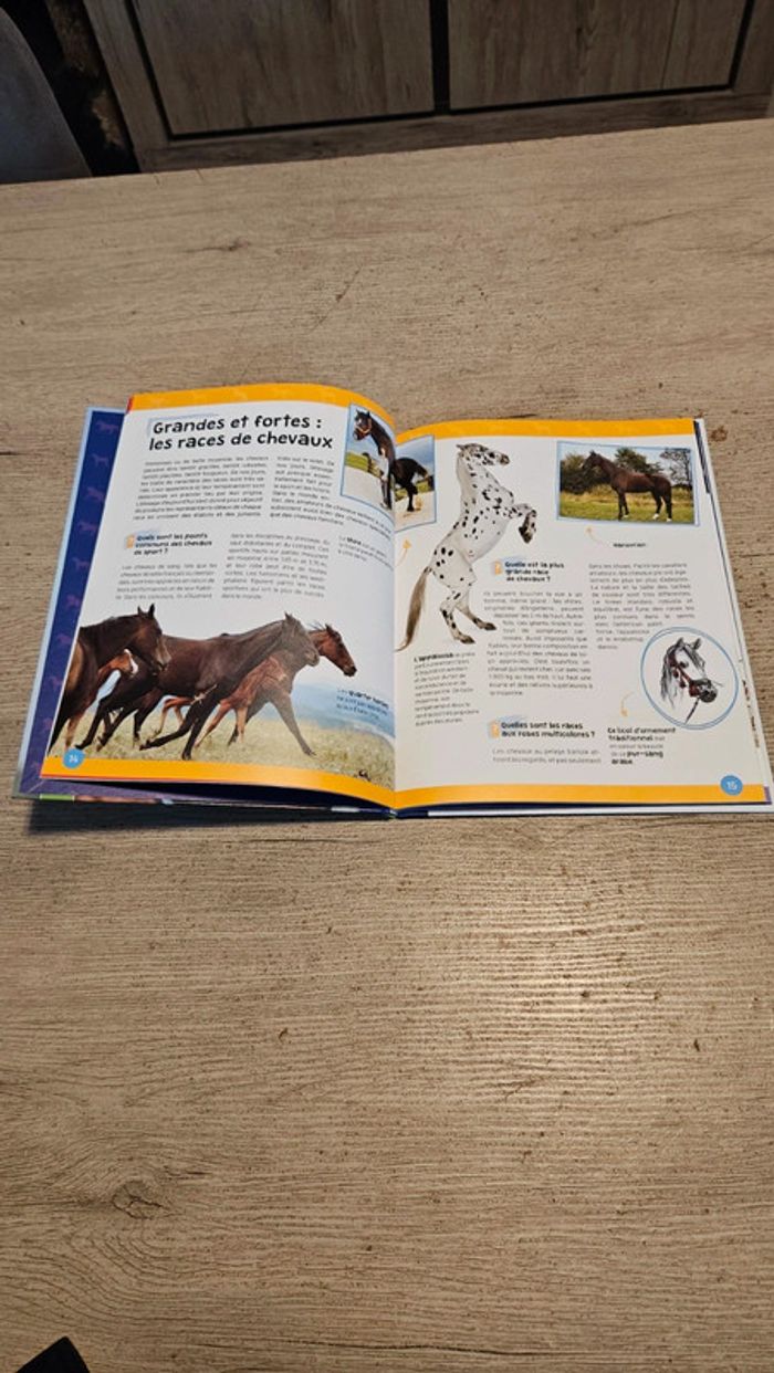 Livre illustré Les équidés, de A à Z, Clés du savoir, neuf - photo numéro 2