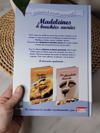 Livre madeleines et bouchées sucrées