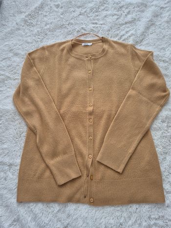 Gilet
