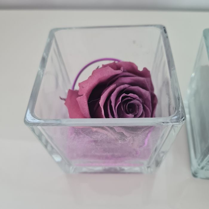 Deux compositions rose éternelle - photo numéro 2