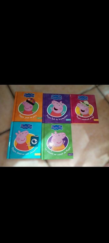 Lot de 5 livres Peppa Pig - hachette Jeunesse