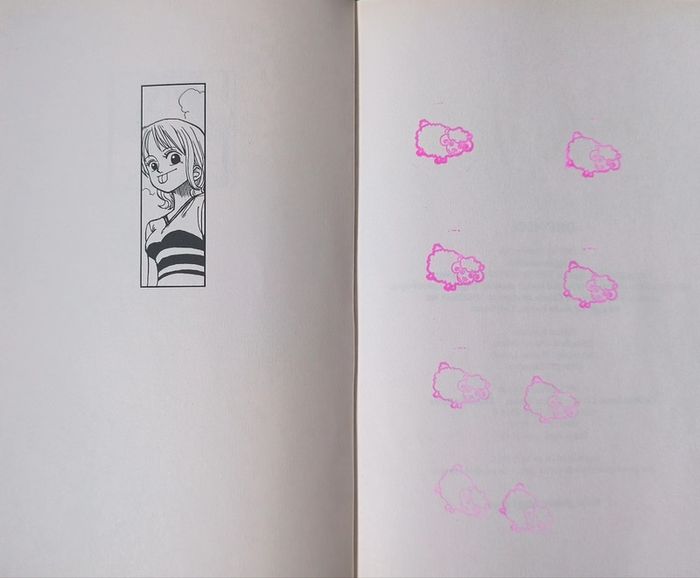 Livres One Piece - photo numéro 5