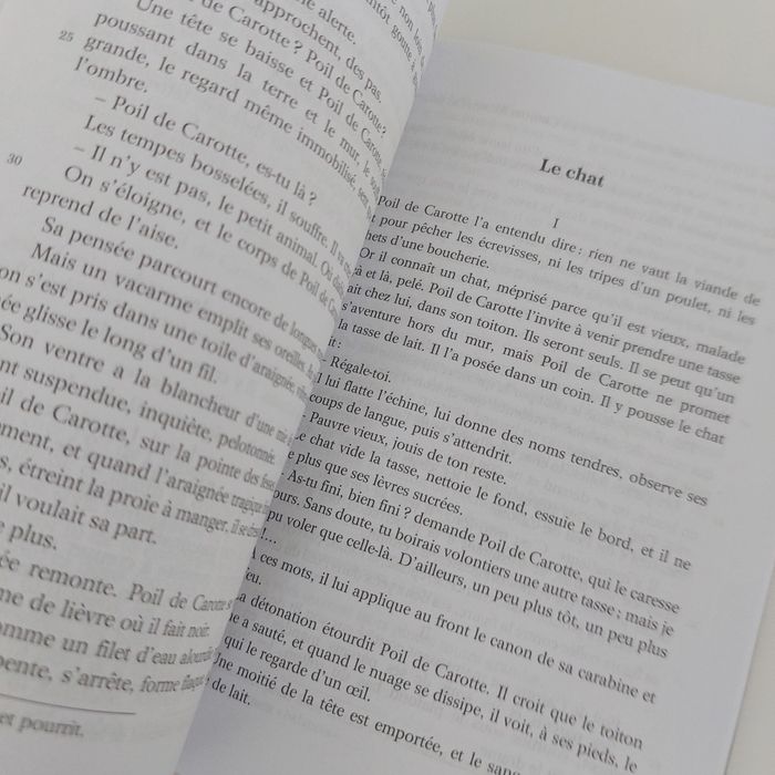 Poil de Carotte - photo numéro 3