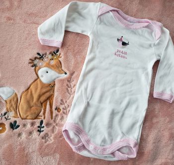 Bodies petit bateau paris