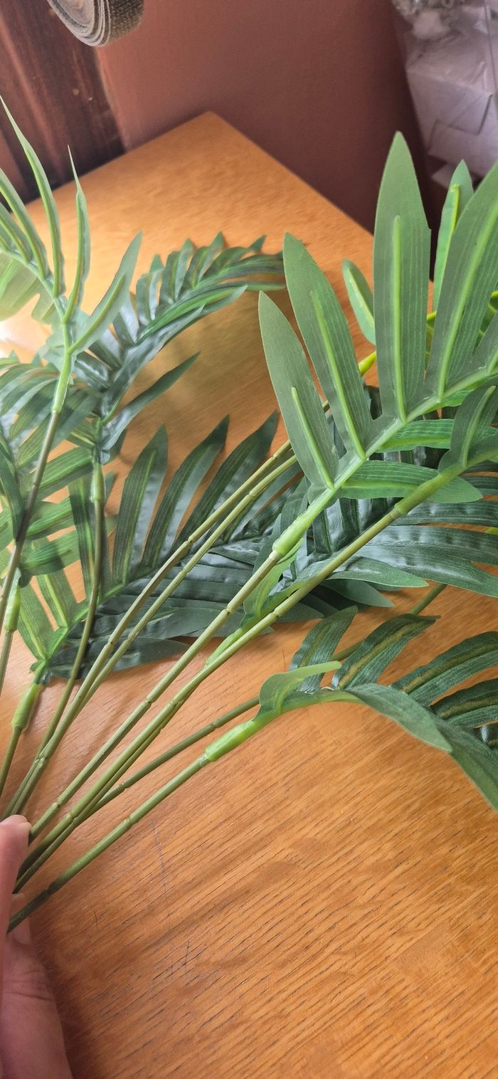 Lot de 2 plantes verte - photo numéro 2