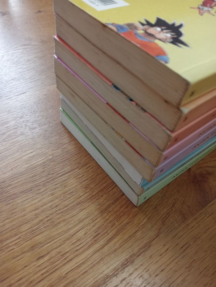 Dragon ball pastel mangas du 19 au 26 - photo numéro 5