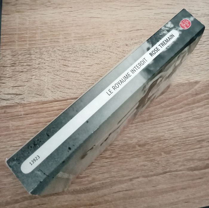 Rose Tremain 🪅 Le royaume interdit - photo numéro 3