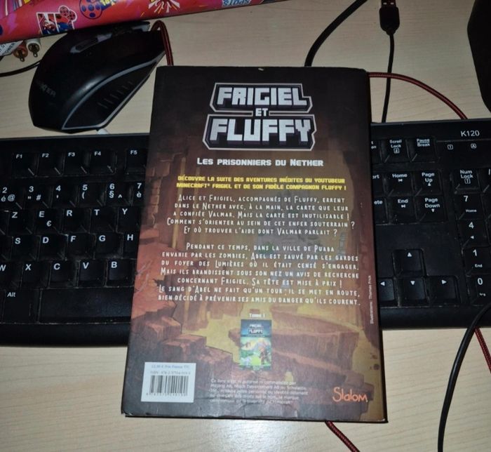 2 livres Frigiel et Fluffy tome et 2 - photo numéro 2