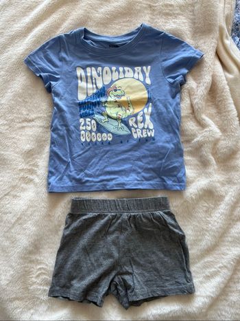 Ensemble dinosaure