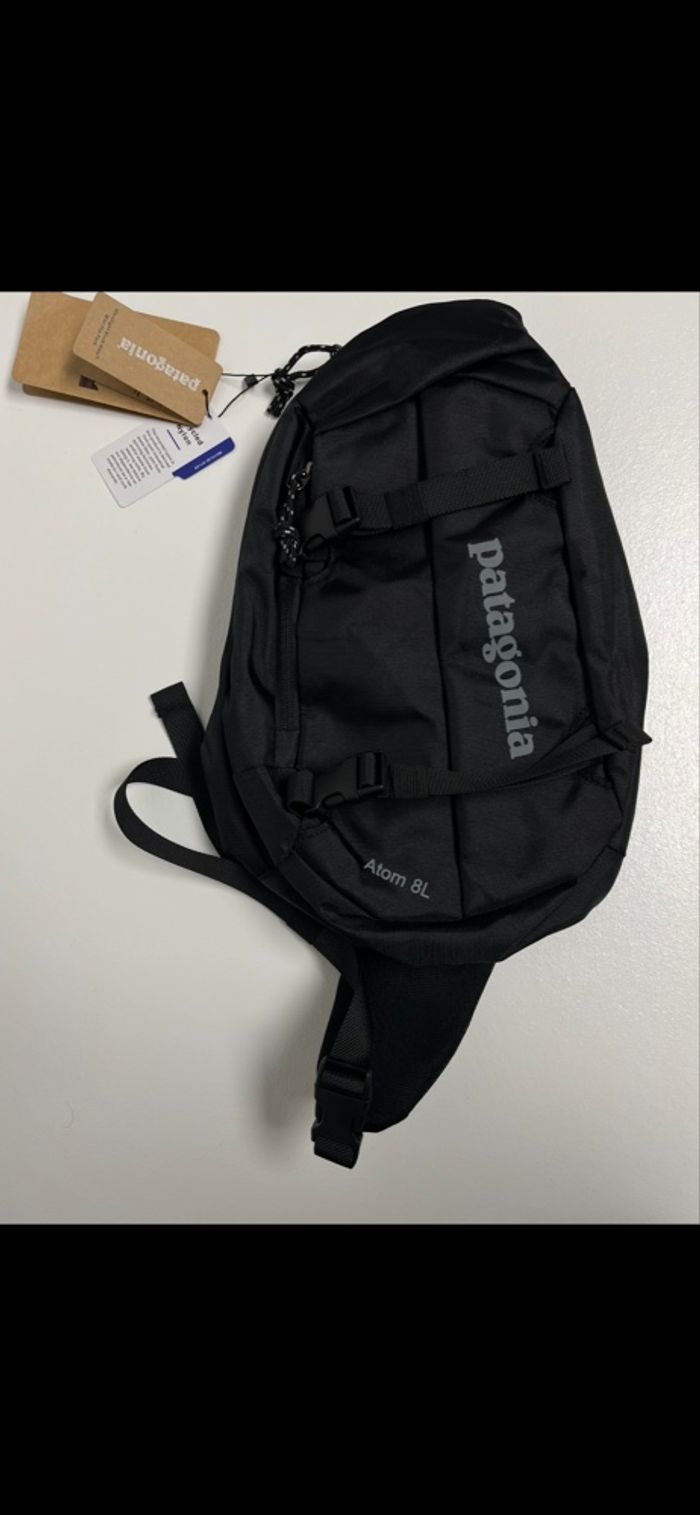 Sac Patagonia atom 8L