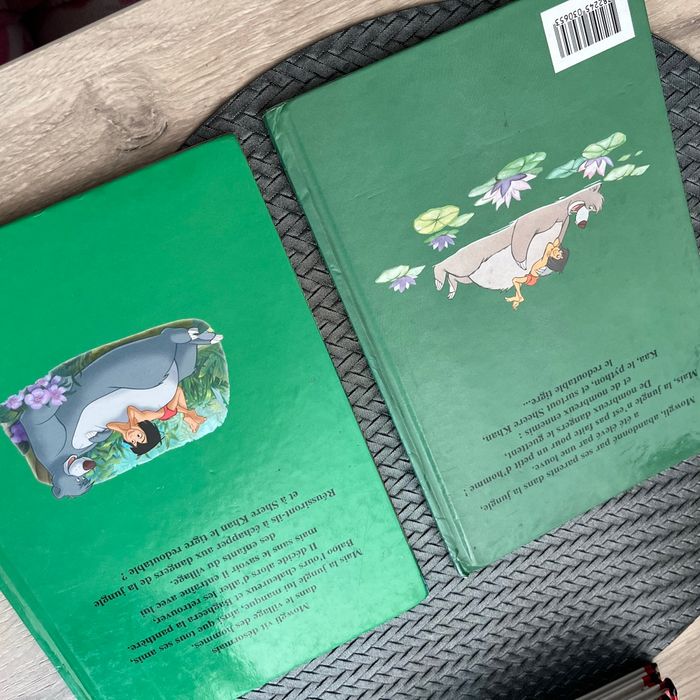 Livre de la jungle - photo numéro 3