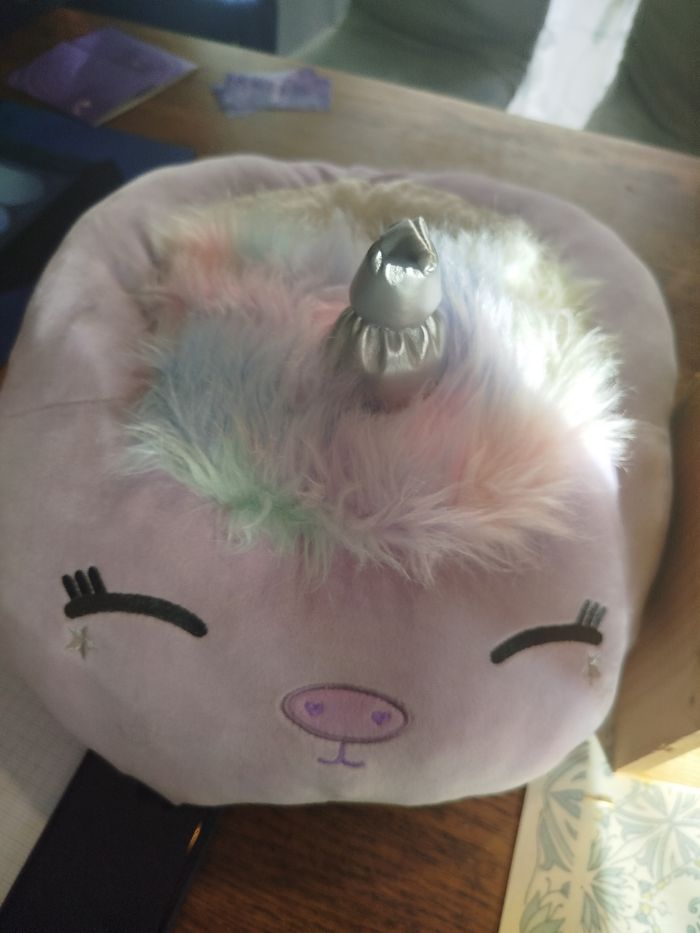 Chauffe pieds spécial hiver 🪾 - photo numéro 4