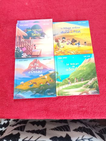 Lot 4 livre mc Donald's collection merveille de France